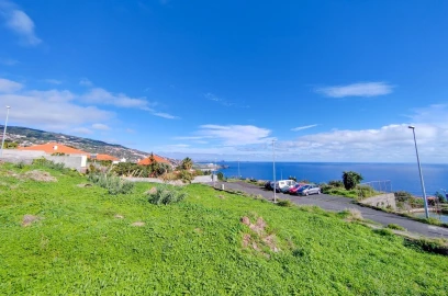 Terreno para Venda em Santa Cruz