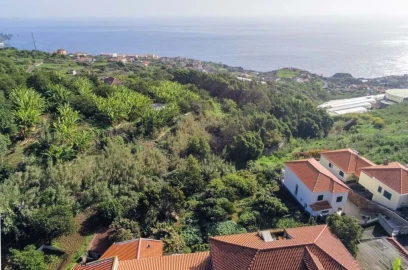 Terreno para Venda em Santa Cruz
