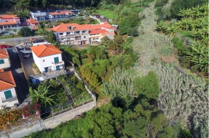 Terreno para Venda em Santa Cruz