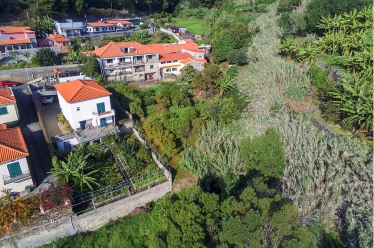 Terreno para Venda em Santa Cruz Foto 6