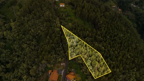 Terreno para Venda em Santa Cruz