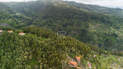 Terreno para Venda em Santa Cruz