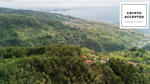 Terreno para Venda em Santa Cruz
