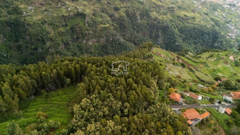 Terreno para Venda em Santa Cruz