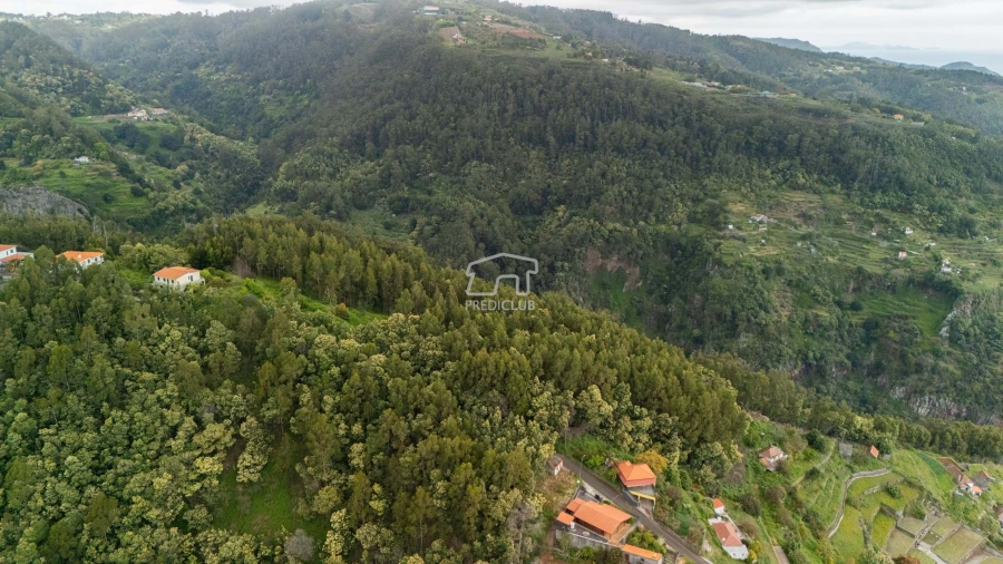 Terreno para Venda em Santa Cruz Foto 4