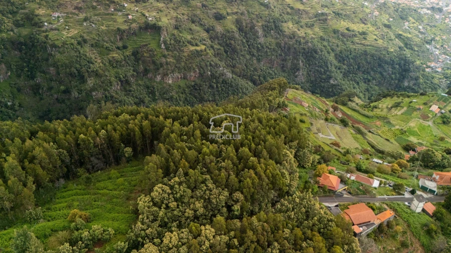 Terreno para Venda em Santa Cruz Foto 3