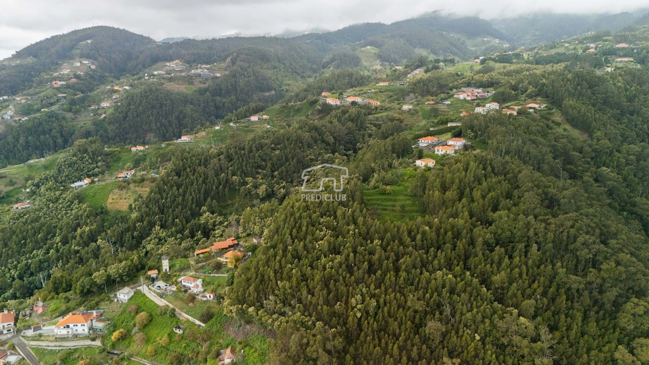 Terreno para Venda em Santa Cruz Foto 8