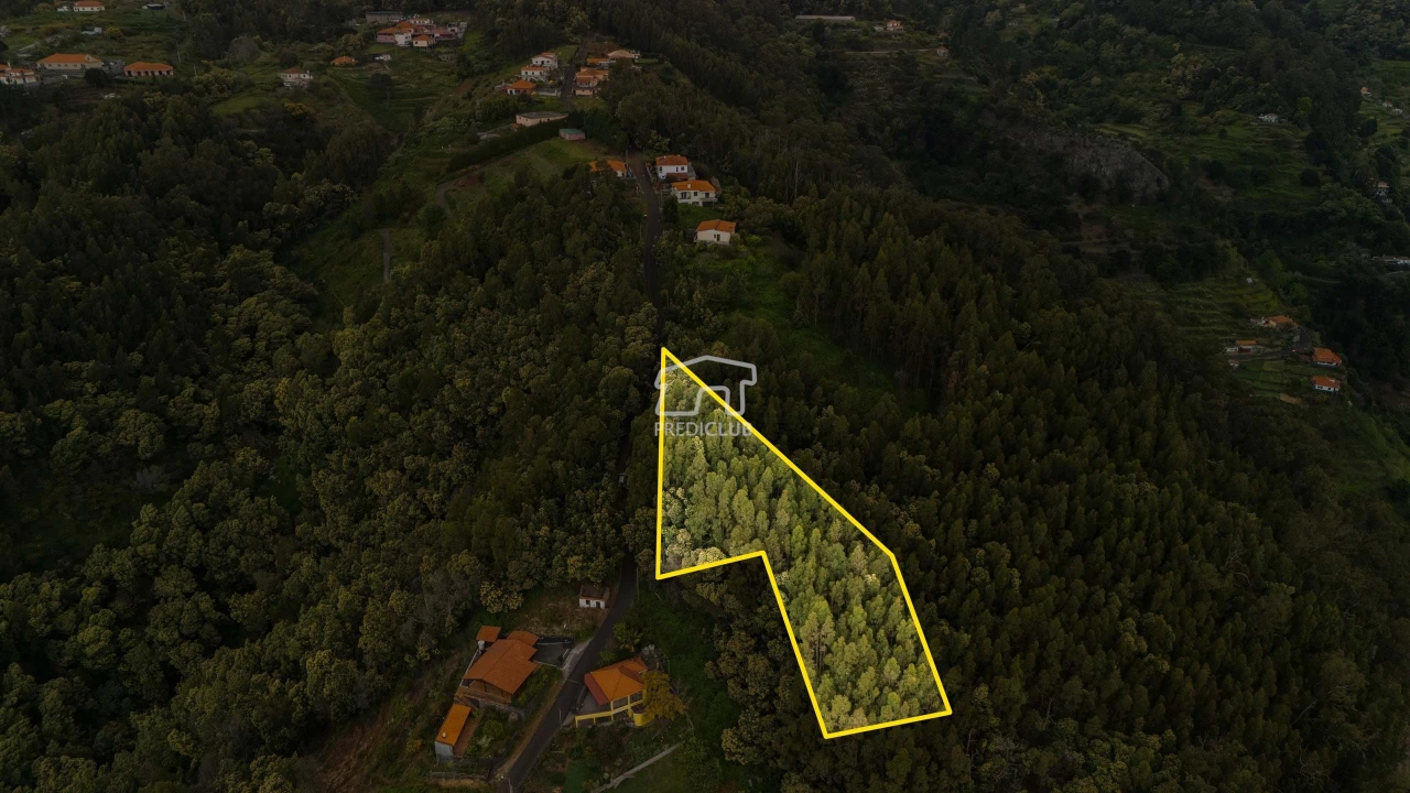 Terreno para Venda em Santa Cruz Foto 7