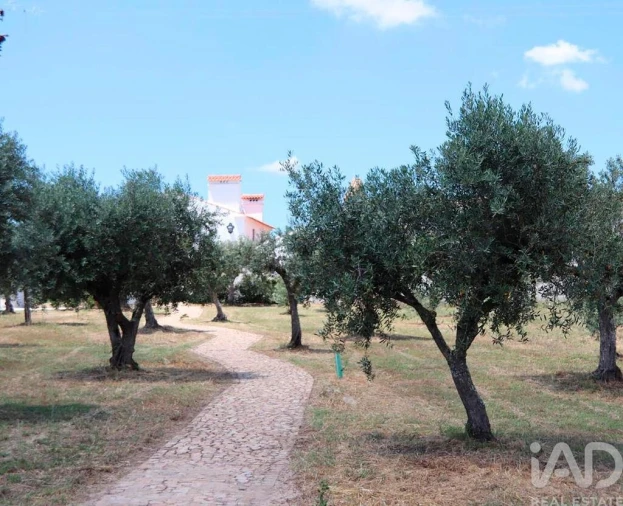 Moradia T5 para Venda em Sé e São Lourenço Foto 23