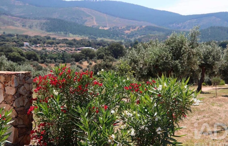 Moradia T5 para Venda em Sé e São Lourenço Foto 24