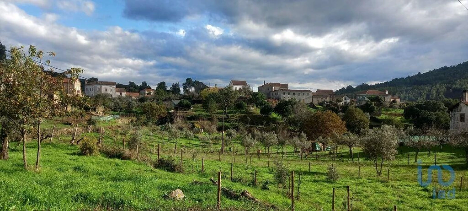 Prédio para Venda em Alvares Foto 8