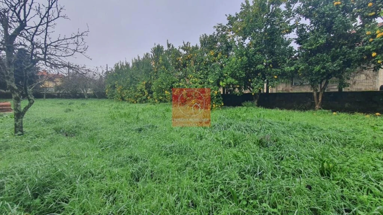 Moradia T4 para Venda em Ardegão, Freixo e Mato Foto 14