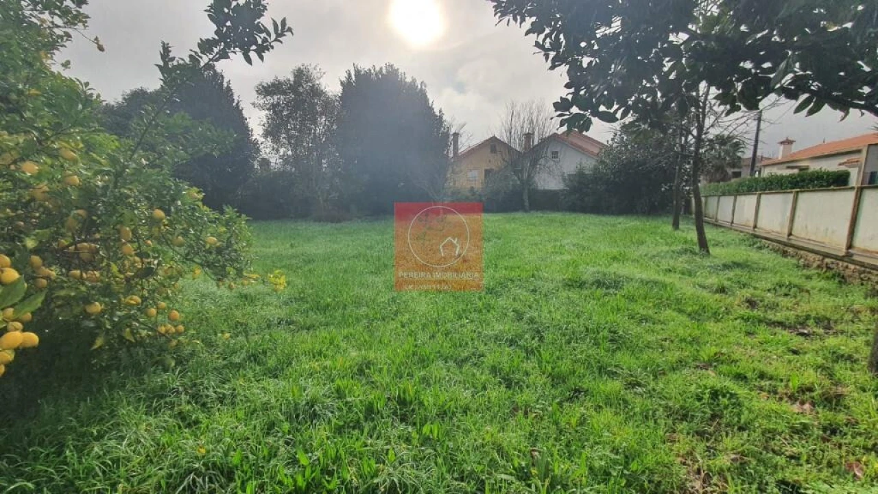 Moradia T4 para Venda em Ardegão, Freixo e Mato Foto 13