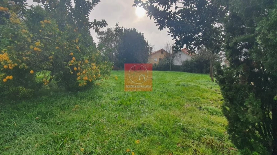 Moradia T4 para Venda em Ardegão, Freixo e Mato Foto 6