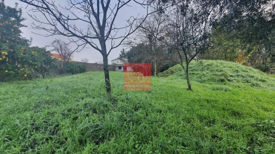 Moradia T4 para Venda em Ardegão, Freixo e Mato Foto 5