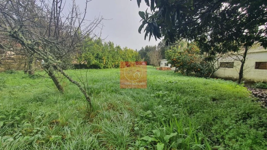 Moradia T4 para Venda em Ardegão, Freixo e Mato Foto 3