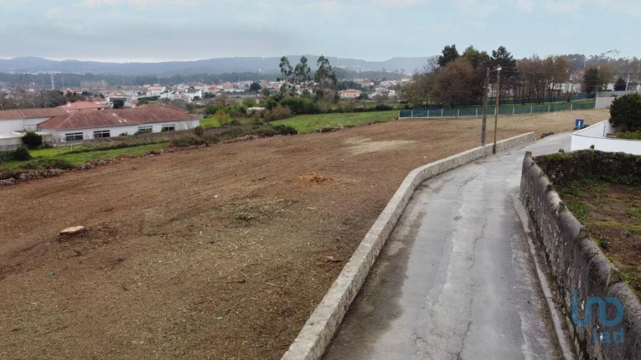 Terreno para Venda em São Romão de Neiva Foto 9