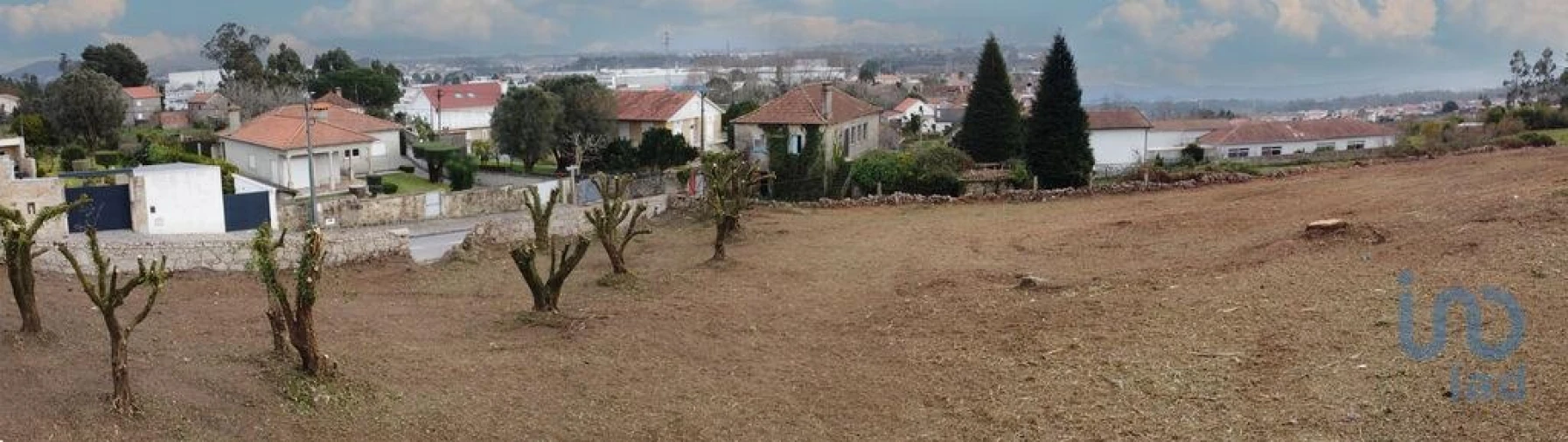 Terreno para Venda em São Romão de Neiva Foto 5