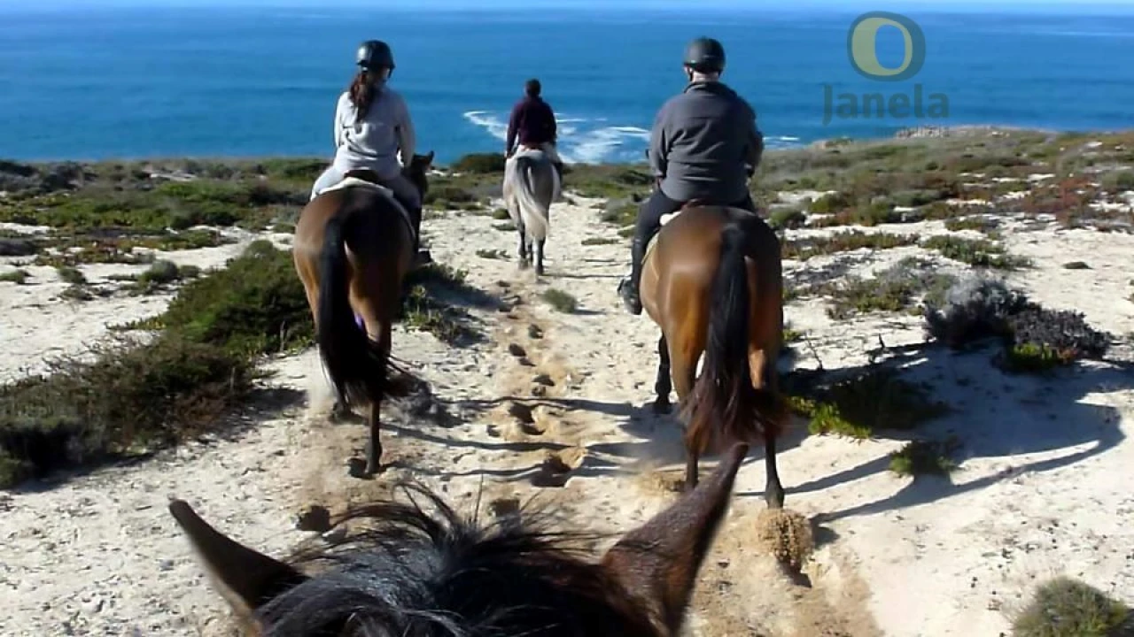 Quinta T10 para Venda em Vila Nova de Milfontes Foto 13