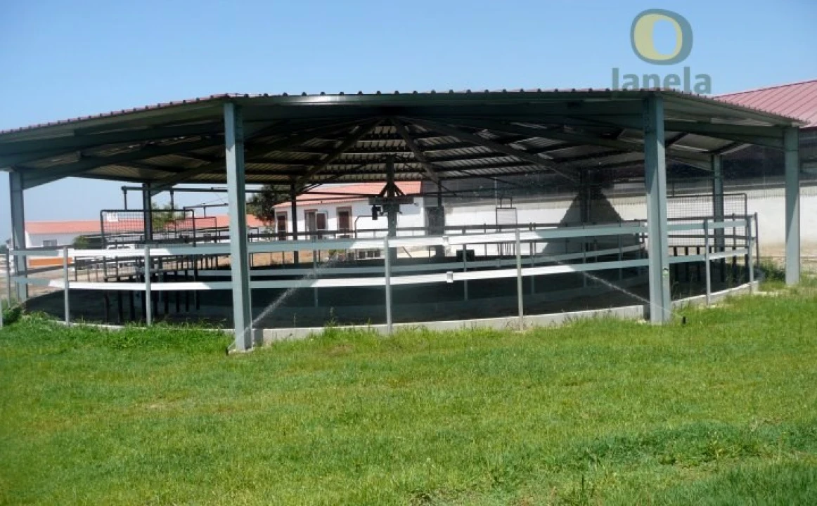 Quinta T10 para Venda em Vila Nova de Milfontes Foto 16