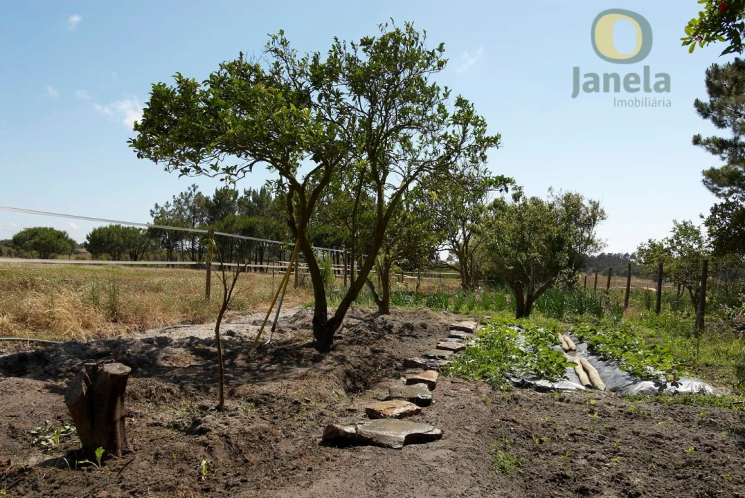 Quinta T10 para Venda em Vila Nova de Milfontes Foto 18