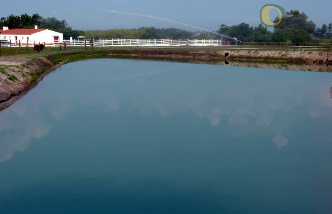 Quinta T10 para Venda em Vila Nova de Milfontes Foto 20