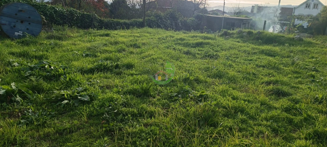Terreno para Venda em Lage Foto 4