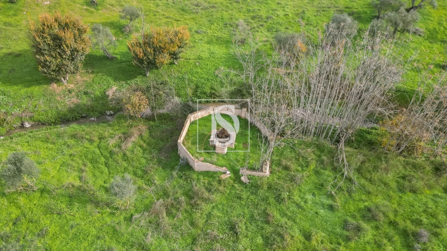 Quinta T5 para Venda em Nossa Senhora da Expectação Foto 17