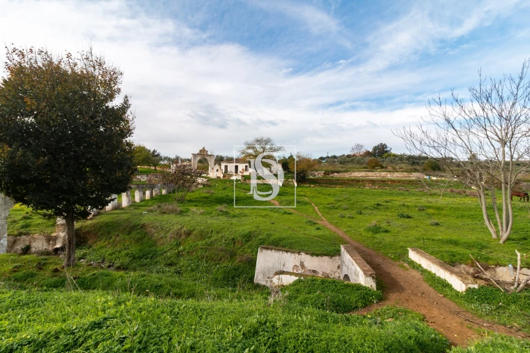 Quinta T5 para Venda em Nossa Senhora da Expectação Foto 12