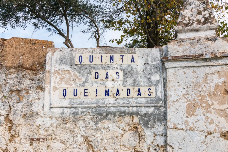 Quinta T5 para Venda em Nossa Senhora da Expectação Foto 3