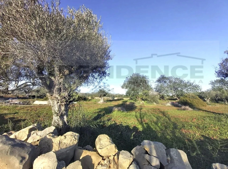 Terreno Agricola ou Rústico para Venda em Ferreiras Foto 1