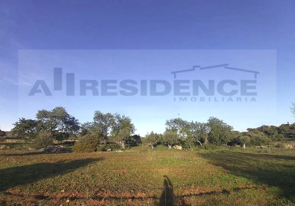 Terreno Agricola ou Rústico para Venda em Ferreiras Foto 2