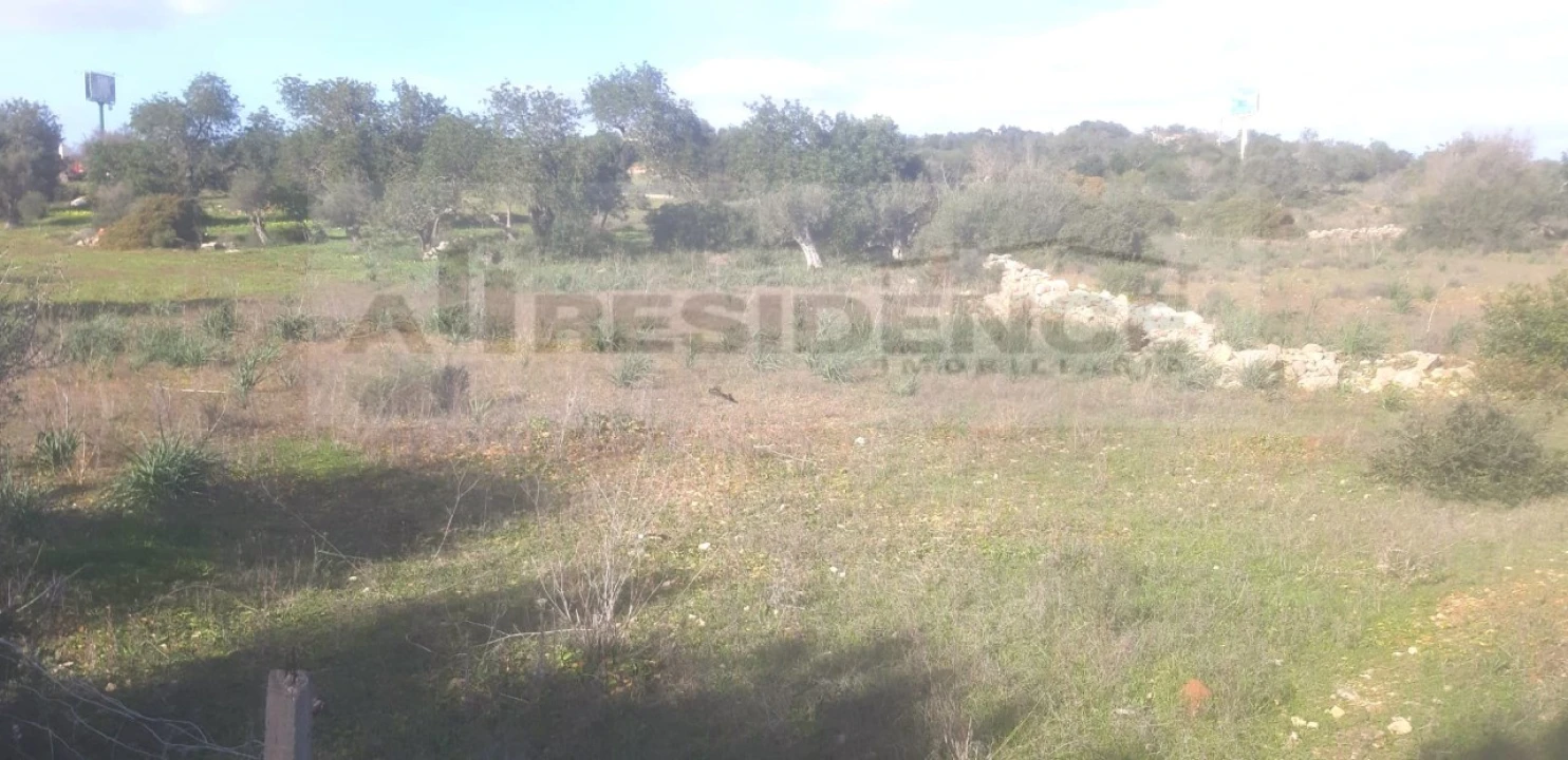 Terreno Agricola ou Rústico para Venda em Ferreiras Foto 3