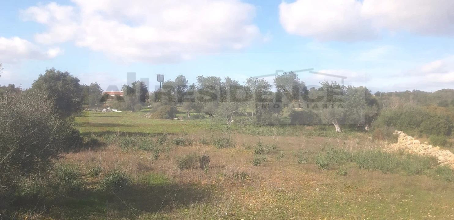 Terreno Agricola ou Rústico para Venda em Ferreiras Foto 4
