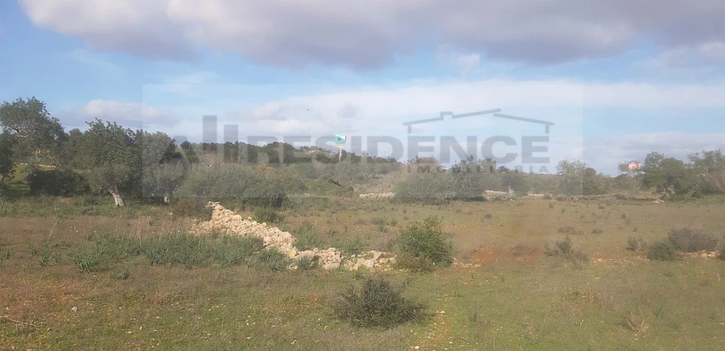 Terreno Agricola ou Rústico para Venda em Ferreiras Foto 5