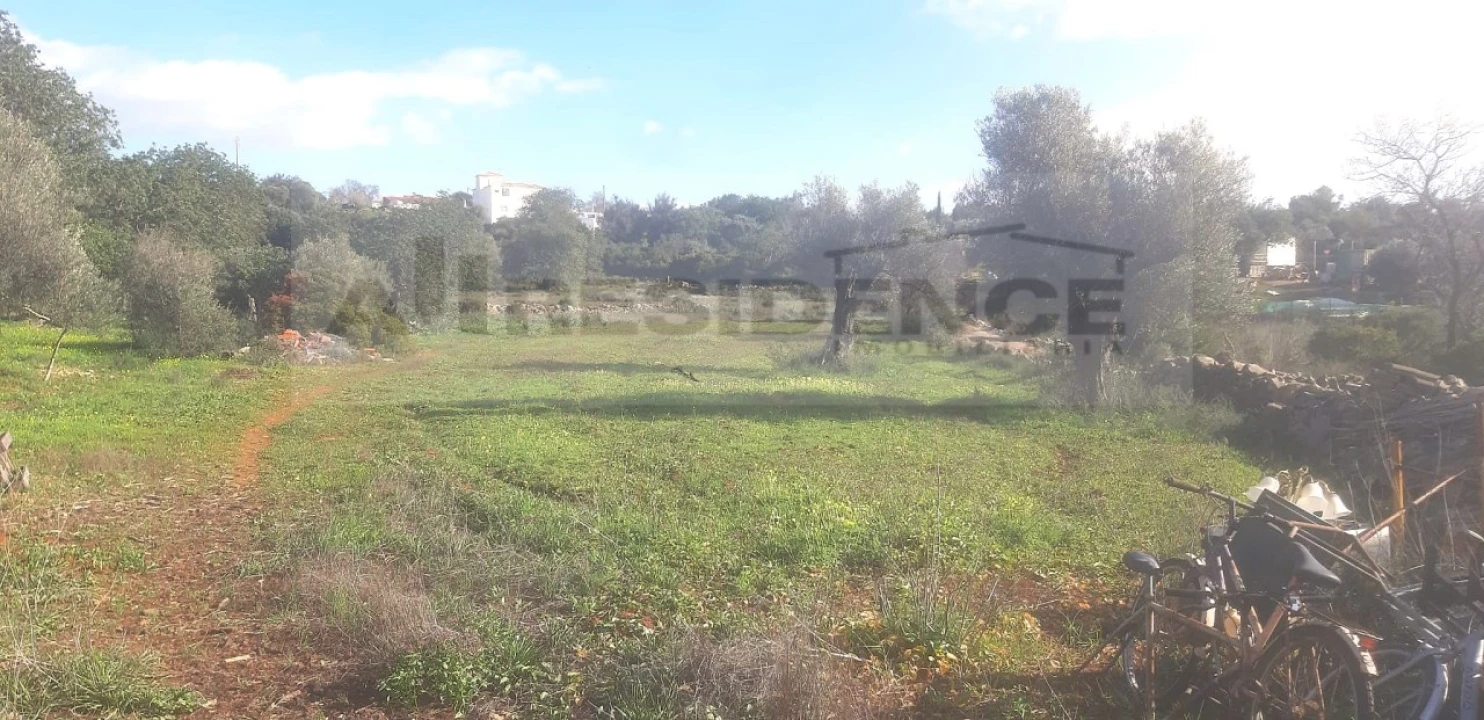 Terreno Agricola ou Rústico para Venda em Ferreiras Foto 6