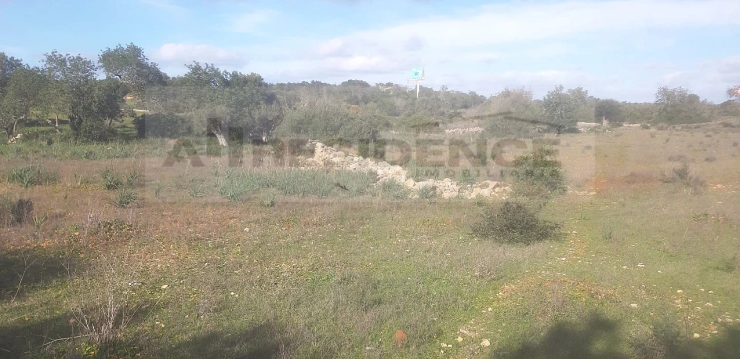 Terreno Agricola ou Rústico para Venda em Ferreiras Foto 7