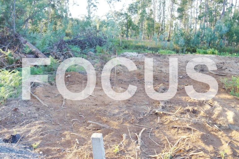 Terreno Agricola ou Rústico para Venda em Oiã Foto 4