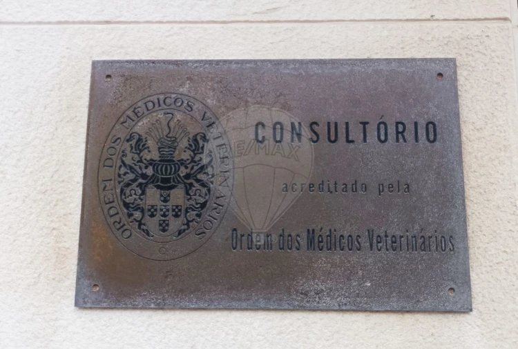 Loja para Venda em Penha de França Foto 14