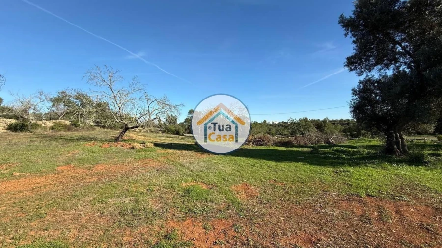 Moradia T4 para Venda em Cachopo Foto 18