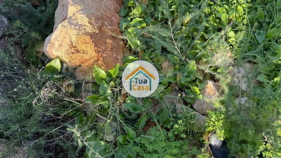 Moradia T4 para Venda em Cachopo Foto 20