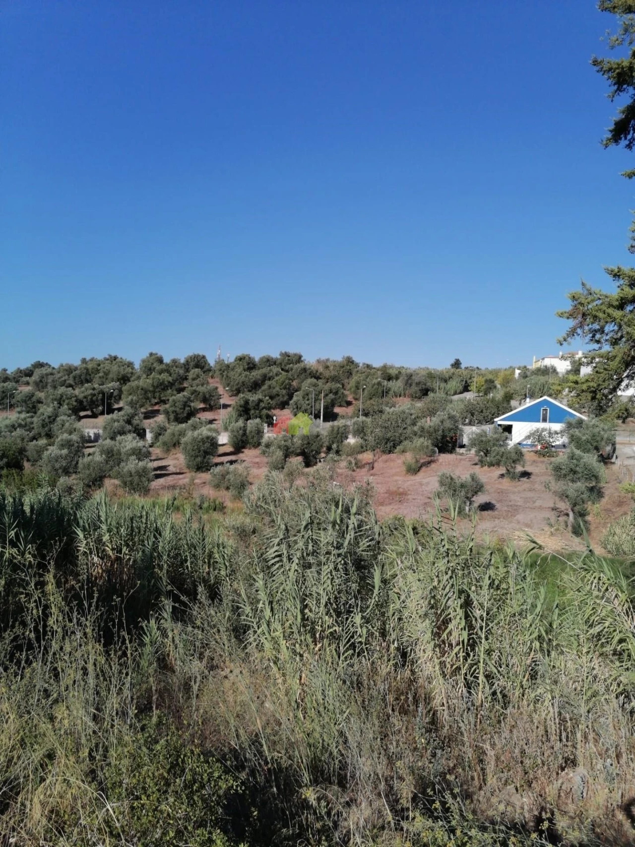 Quinta T2 para Venda em Santa Maria do Castelo e Santiago e Santa Susana Foto 11