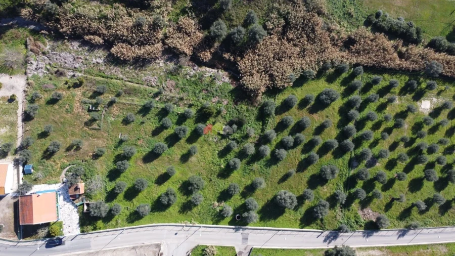 Quinta T2 para Venda em Santa Maria do Castelo e Santiago e Santa Susana Foto 4