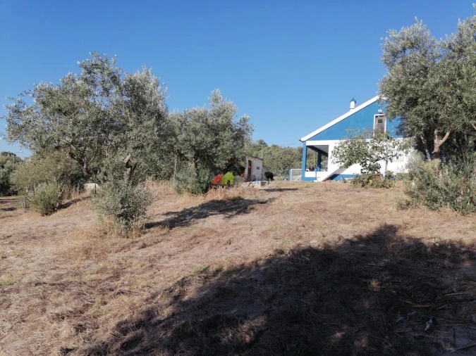 Quinta T2 para Venda em Santa Maria do Castelo e Santiago e Santa Susana Foto 10