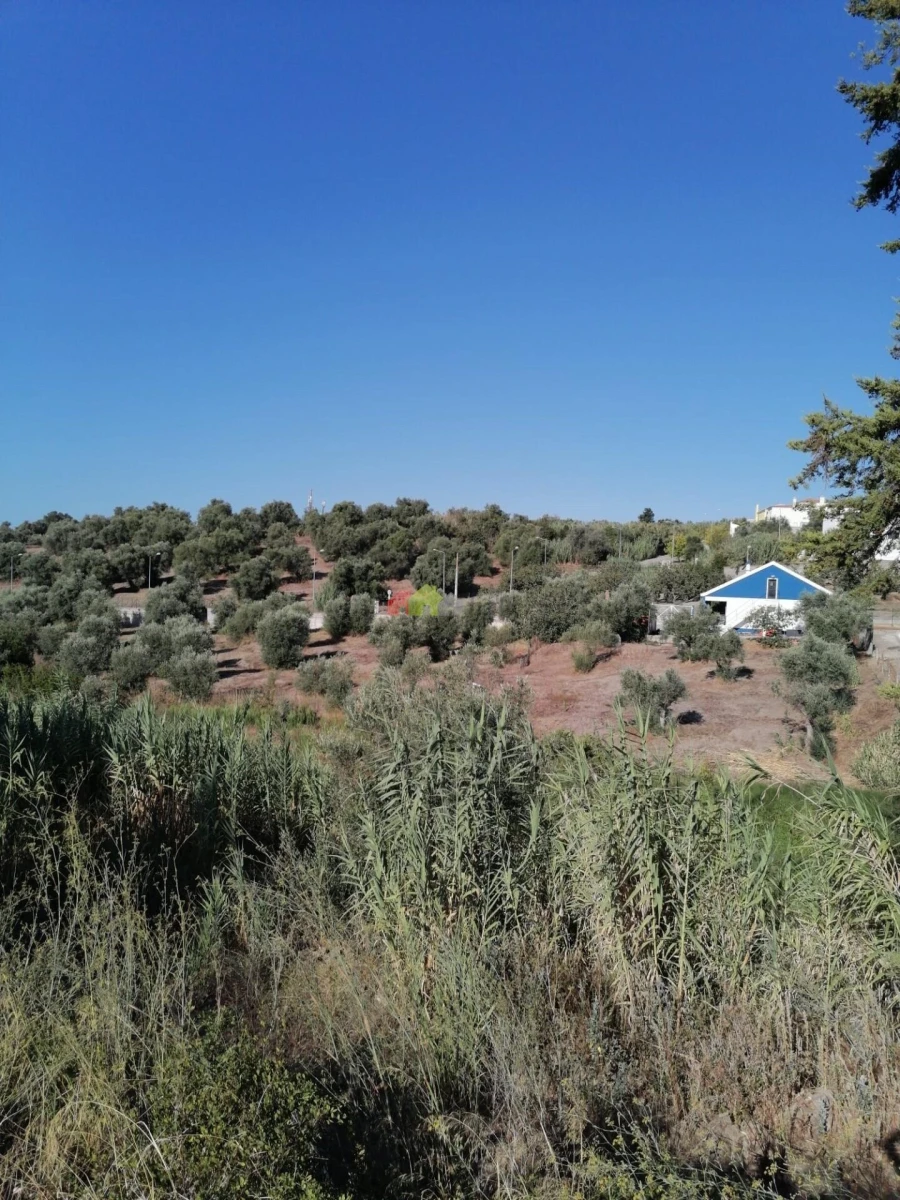 Quinta T2 para Venda em Santa Maria do Castelo e Santiago e Santa Susana Foto 11