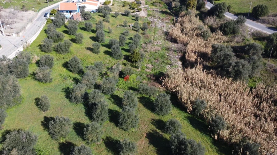 Quinta T2 para Venda em Santa Maria do Castelo e Santiago e Santa Susana Foto 49