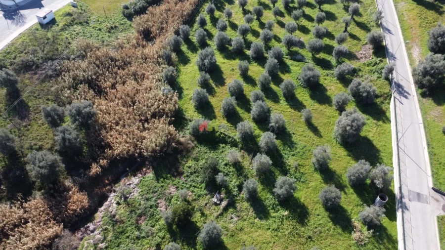 Quinta T2 para Venda em Santa Maria do Castelo e Santiago e Santa Susana Foto 45