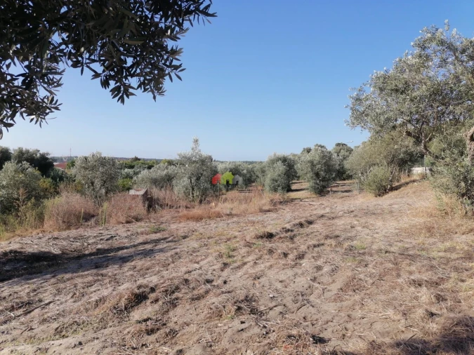 Quinta T2 para Venda em Santa Maria do Castelo e Santiago e Santa Susana Foto 14