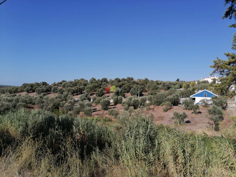 Quinta T2 para Venda em Santa Maria do Castelo e Santiago e Santa Susana Foto 15