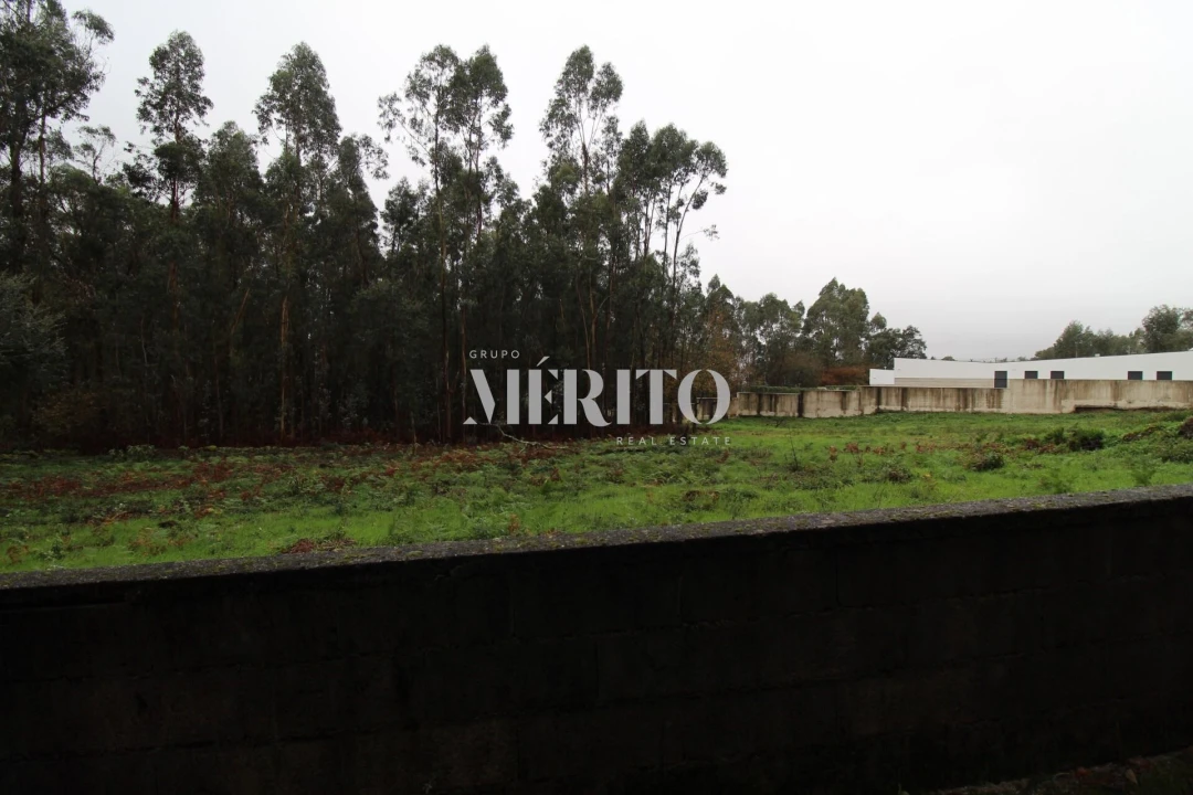 Terreno para Venda em Galegos (Santa Maria) Foto 4